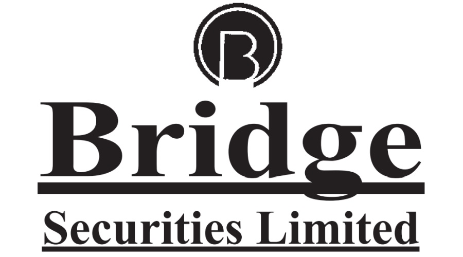 Bridge Securities Ltd Q2FY25 profit at Rs. 1 crore